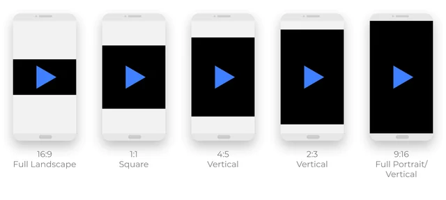 Visual for this record: Vertical video specs differ across platforms despite one shared shape